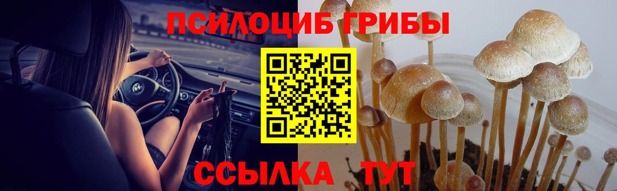 Галлюциногенные грибы ЛСД Великие Луки